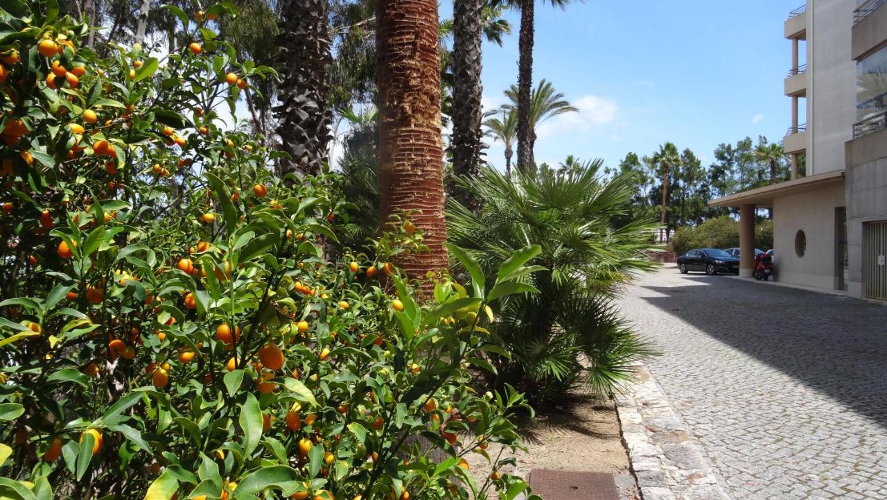 Beach Front Apartment Barracuda Albufeira Buitenkant foto